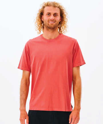 Rip Curl Plain Wash Mens Tee - Dusty Mushroom